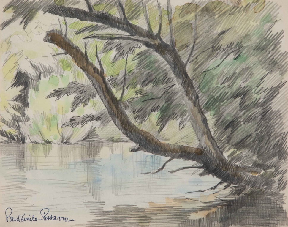 Arbre en bordure d'eau - Paulémile Pissarro (1884 - 1972)